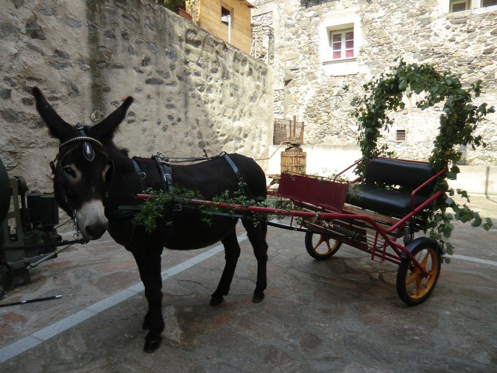 מלון Le Moulin De Sournia מראה חיצוני תמונה